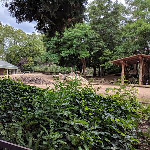 African Savannah Enclosure