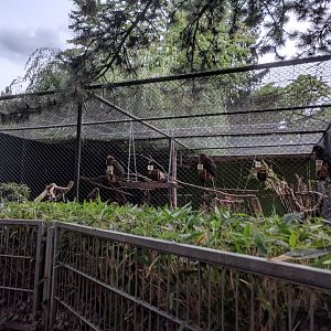 Kea Aviary