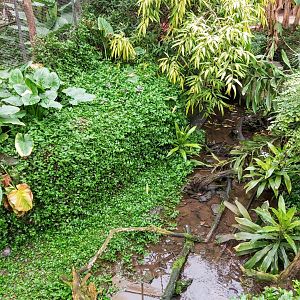 View in the Tropical Hall