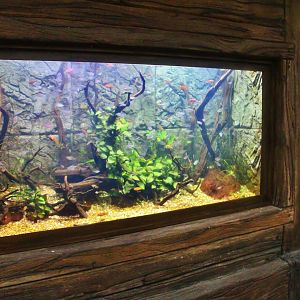 West African-themed exhibit