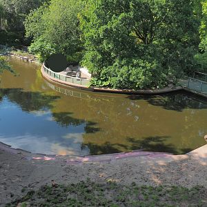 Hippopotamus exhibit, seen from the viewing area on the roof of the hippopotamus house, 2021-07-17