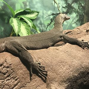 Mertens water monitor