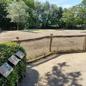 Enclosure Sika deer - Blackbuck - Muntjac