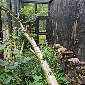 European garden dormouse enclosure