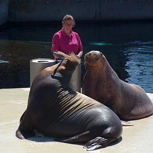 Olivia - refusing the show...