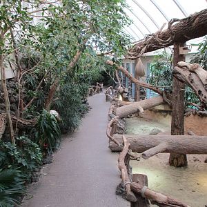 Walkthrough exhibit in the reptile house
