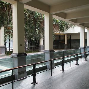 View in the hippopotamus building