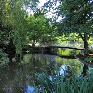 Former cormorant pond with bridge to the elephant viewing area, 2021-07-17