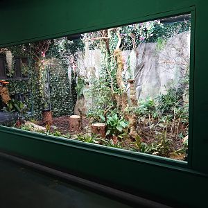 Refurbished exhibit in the Kolibri-hause.