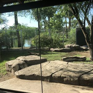 Komodo Dragon Exhibit