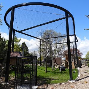 Bald Eagle Aviary - New in 2021