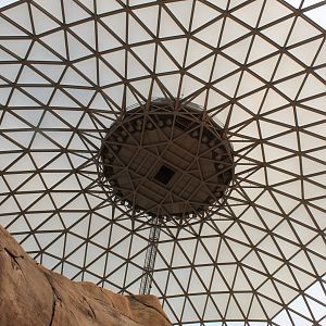 Looking Up - Desert Dome