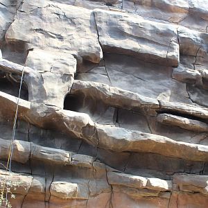 Former Rock Hyrax Ledges - Desert Dome