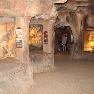 Snake & Lizard Exhibits. - Desert Dome