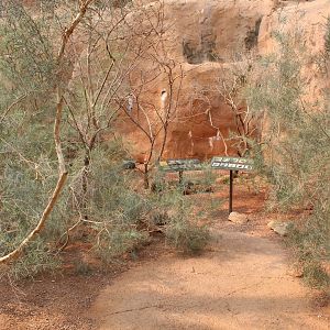 Overview - Desert Dome