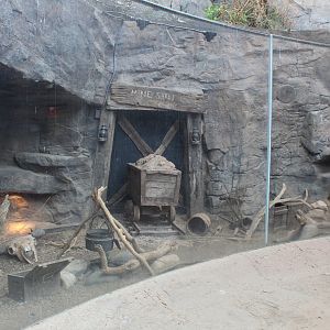 Rattlesnake Canyon Exhibit - Desert Dome