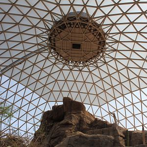 Looking Up - Desert Dome