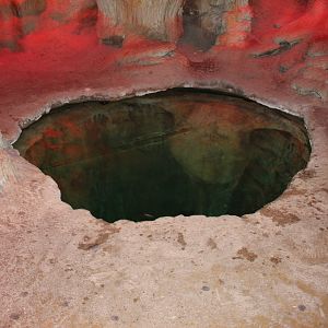 Blind Cave Fish Pool - Kingdoms of the Night