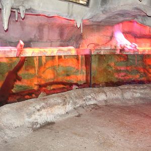 Lake Titicaca Frog Exhibit - Kingdoms of the Night