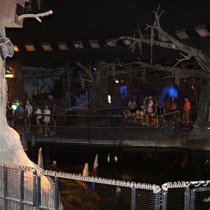 The Swamp Overview - Kingdoms of the Night