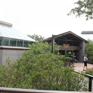 Butterfly & Insect Pavillion