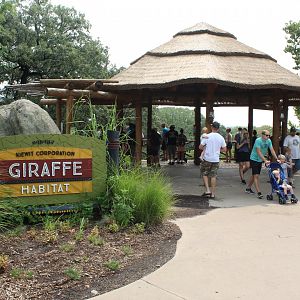 Savannah Overlook - - African Grasslands