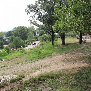 Giraffe, Impala, Lesser Kudu & Ostrich Exhibit - African Grasslands