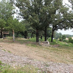 Giraffe, Impala, Lesser Kudu & Ostrich Exhibit - African Grasslands