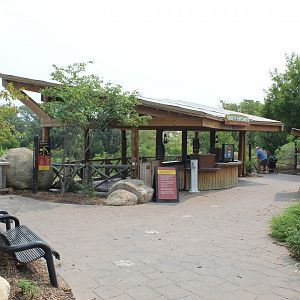 Giraffe Feeding Deck - African Grasslands