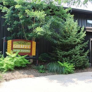 Giraffe Herd Room Entrance - African Grasslands