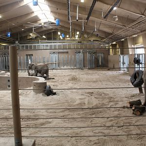 Elephant Family Quarters - African Grasslands