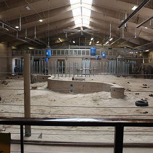 Elephant Family Quarters - African Grasslands