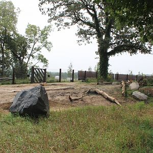 African Elephant Exhibit (South Habitat) - African Grasslands