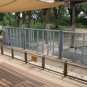 Elephant Amphitheater - African Grasslands
