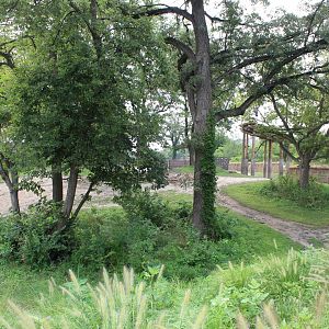 African Elephant & Plains Zebra Exhibit (North Habitat) - African Grasslands