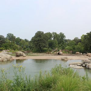 African Elephant & Plains Zebra Exhibit (North Habitat) - African Grasslands