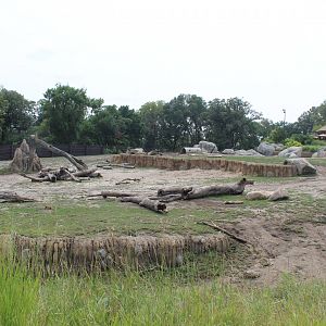 African Elephant & Plains Zebra Exhibit (North Habitat) - African Grasslands