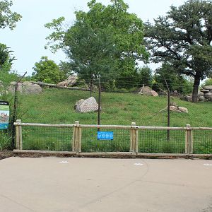 Cheetah Exhibit - African Grasslands