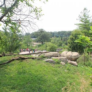 Cheetah Exhibit - African Grasslands