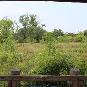 Sable Antelope Exhibit - African Grasslands
