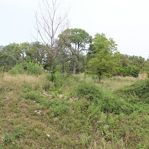 Sable Antelope Exhibit - African Grasslands