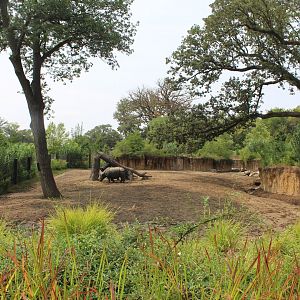 Indian Rhino & Père David's Deer Exhibit - Asian Highlands