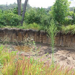 Indian Rhino Separation Exhibit - Asian Highlands