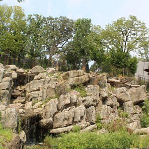 Sichuan Takin & Chinese Goral Exhibit - Asian Highlands