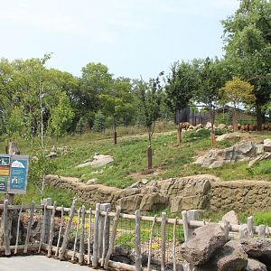 Sichuan Takin & Chinese Goral Exhibit - Asian Highlands