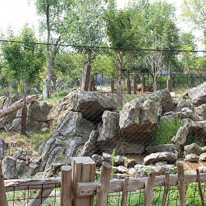 Sichuan Takin & Chinese Goral Exhibit - Asian Highlands