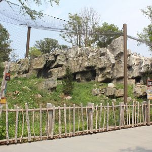 Snow Leopard Exhibit - Asian Highlands