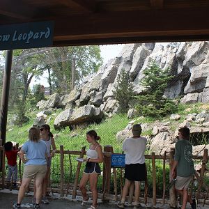 Snow Leopard Exhibit - Asian Highlands