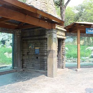 Amur Tiger Exhibit - Asian Highlands