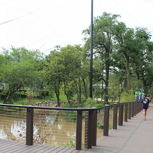 Simmons Aviary Overview